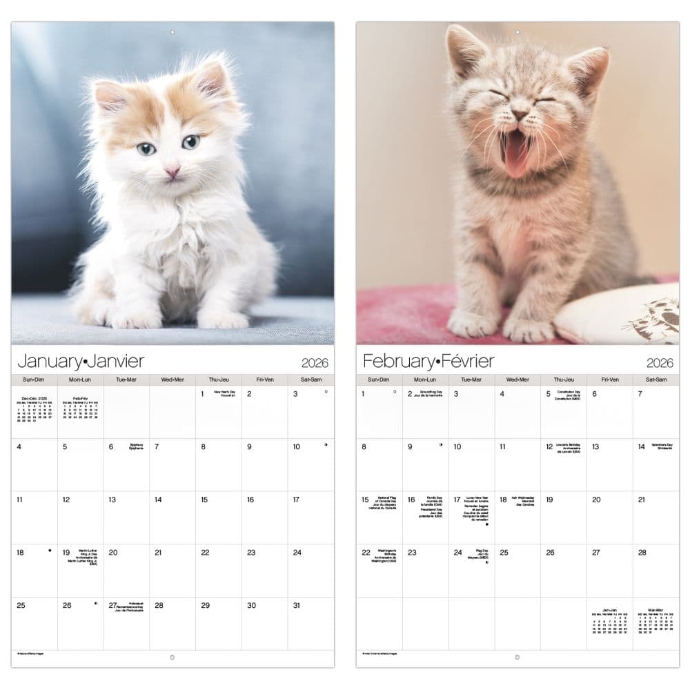 Kittens Bilingual French 2026 Wall Calendar Fifth Alternate Image