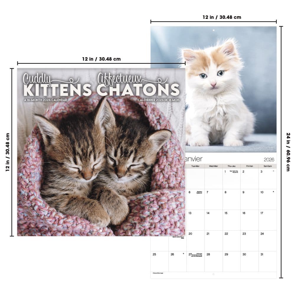 Kittens Bilingual French 2026 Wall Calendar Sixth Alternate Image
