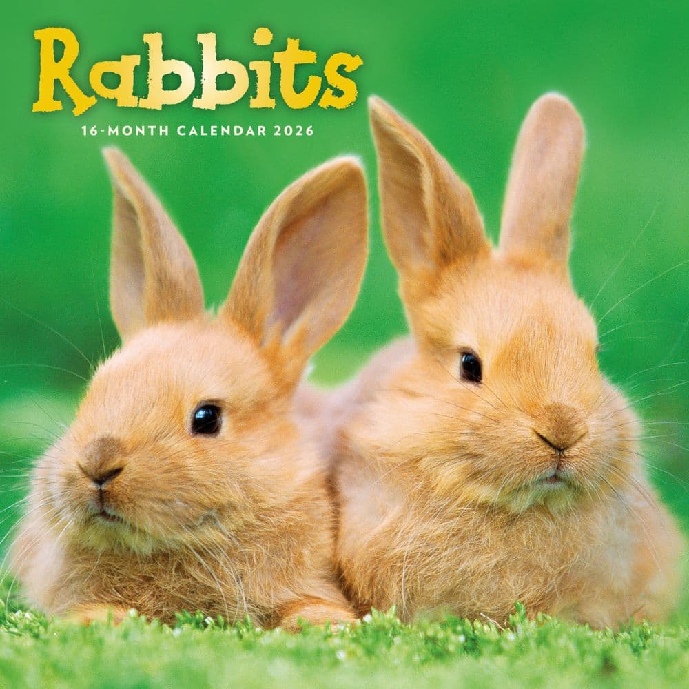 Rabbits 2026 Wall Calendar Main Product Image