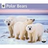 image Polar Bears WWF 2026 Wall Calendar Main Product Image