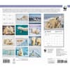 image Polar Bears WWF 2026 Wall Calendar First Alternate Image