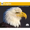 image  Main Product Image