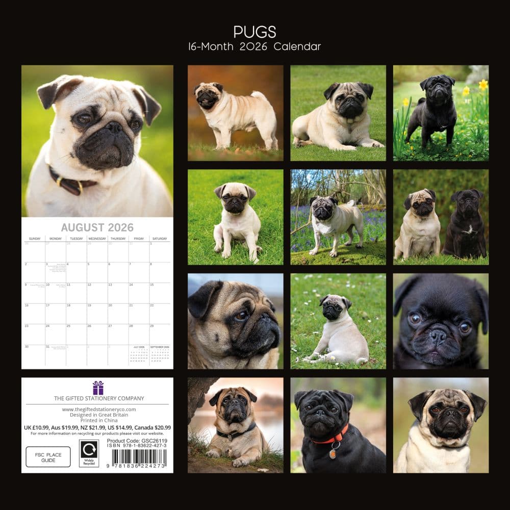 Pugs 2026 Wall Calendar Calendars Com ALT1 