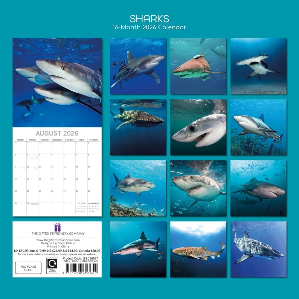 Sharks 2026 Wall Calendar First Alternate Image