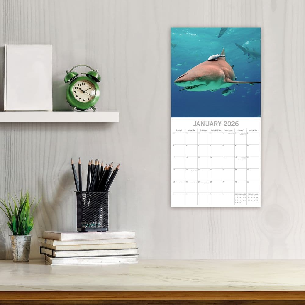 Sharks 2026 Wall Calendar Second Alternate Image