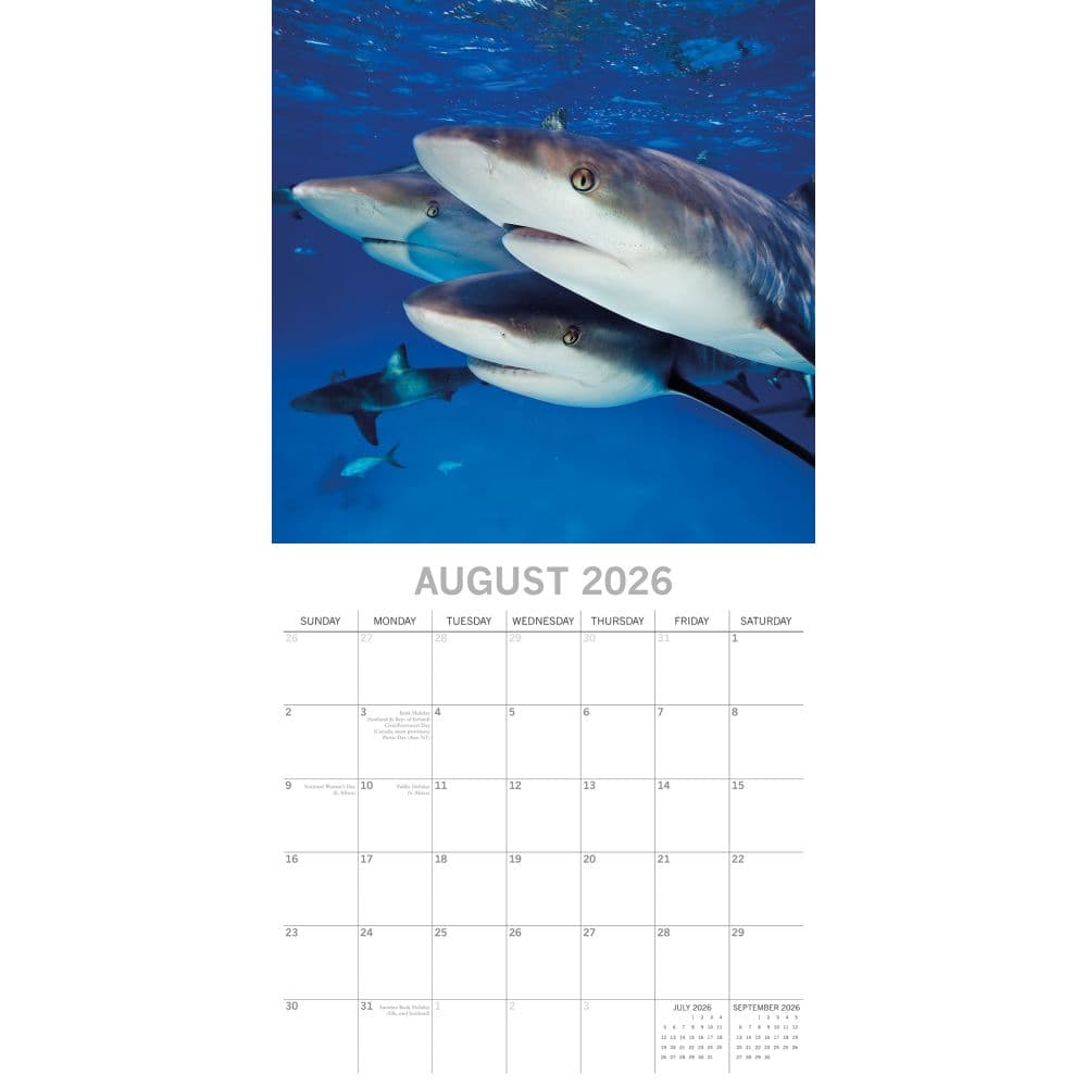 Sharks 2026 Wall Calendar Third Alternate Image
