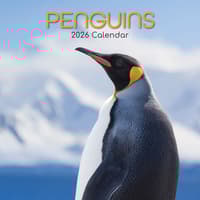 image Penguins 2026 Wall Calendar Main Product Image
