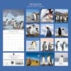 image Penguins 2026 Wall Calendar First Alternate Image