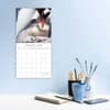 image Penguins 2026 Wall Calendar Second Alternate Image