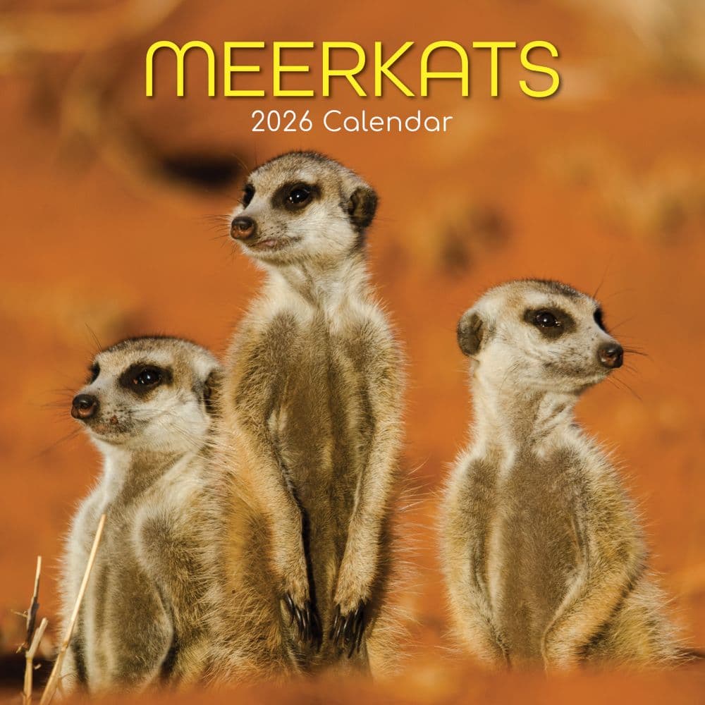 Meerkats 2026 Wall Calendar Main Product Image