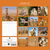 image Meerkats 2026 Wall Calendar First Alternate Image