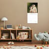image Meerkats 2026 Wall Calendar Second Alternate Image