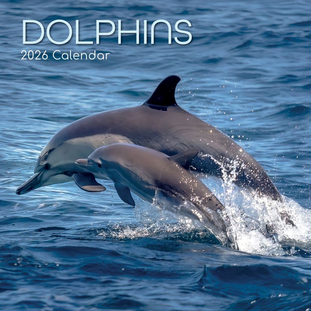 Dolphins 2026 Wall Calendar