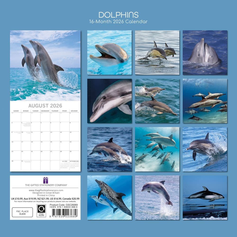 Dolphins 2026 Wall Calendar First Alternate Image