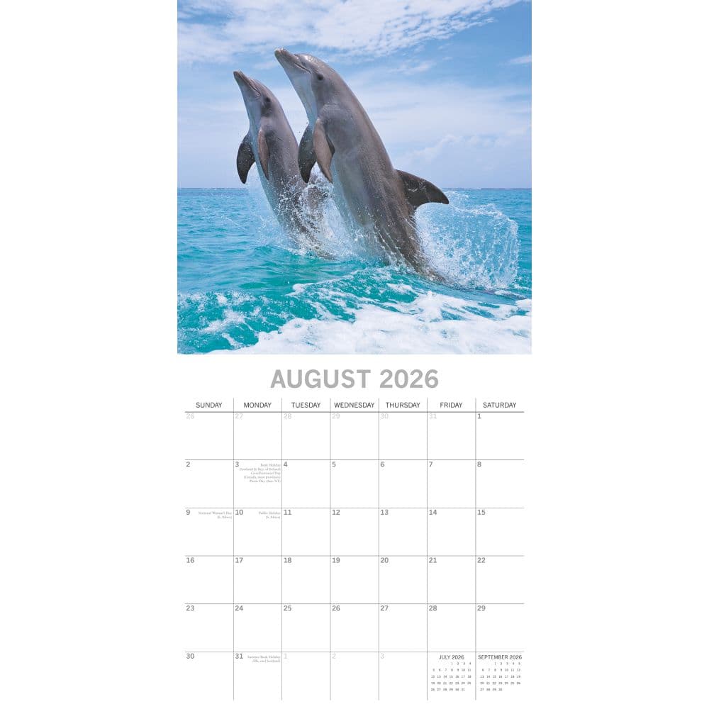 Dolphins 2026 Wall Calendar Third Alternate Image