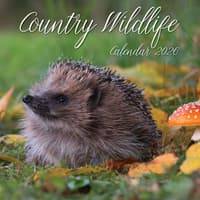 image Country Wildlife 2026 Wall Calendar Main Product Image