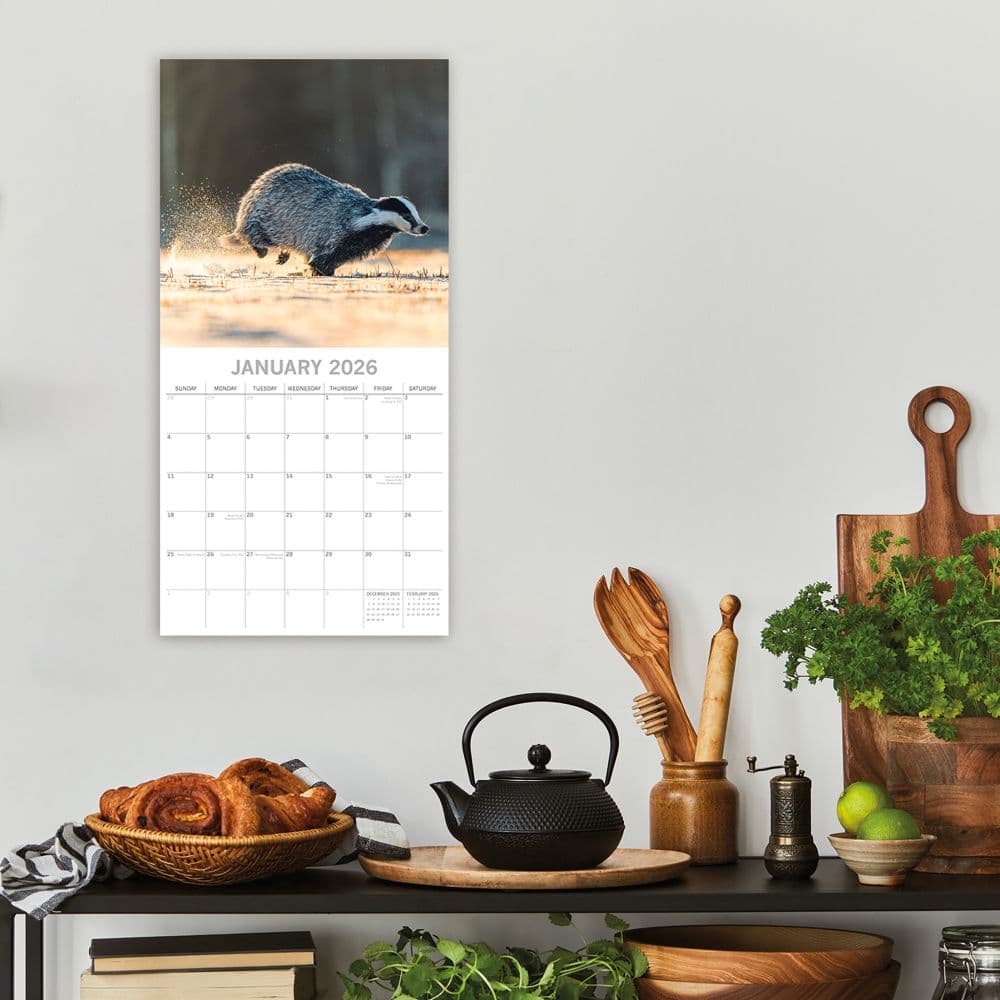 Country Wildlife 2026 Wall Calendar Second Alternate Image