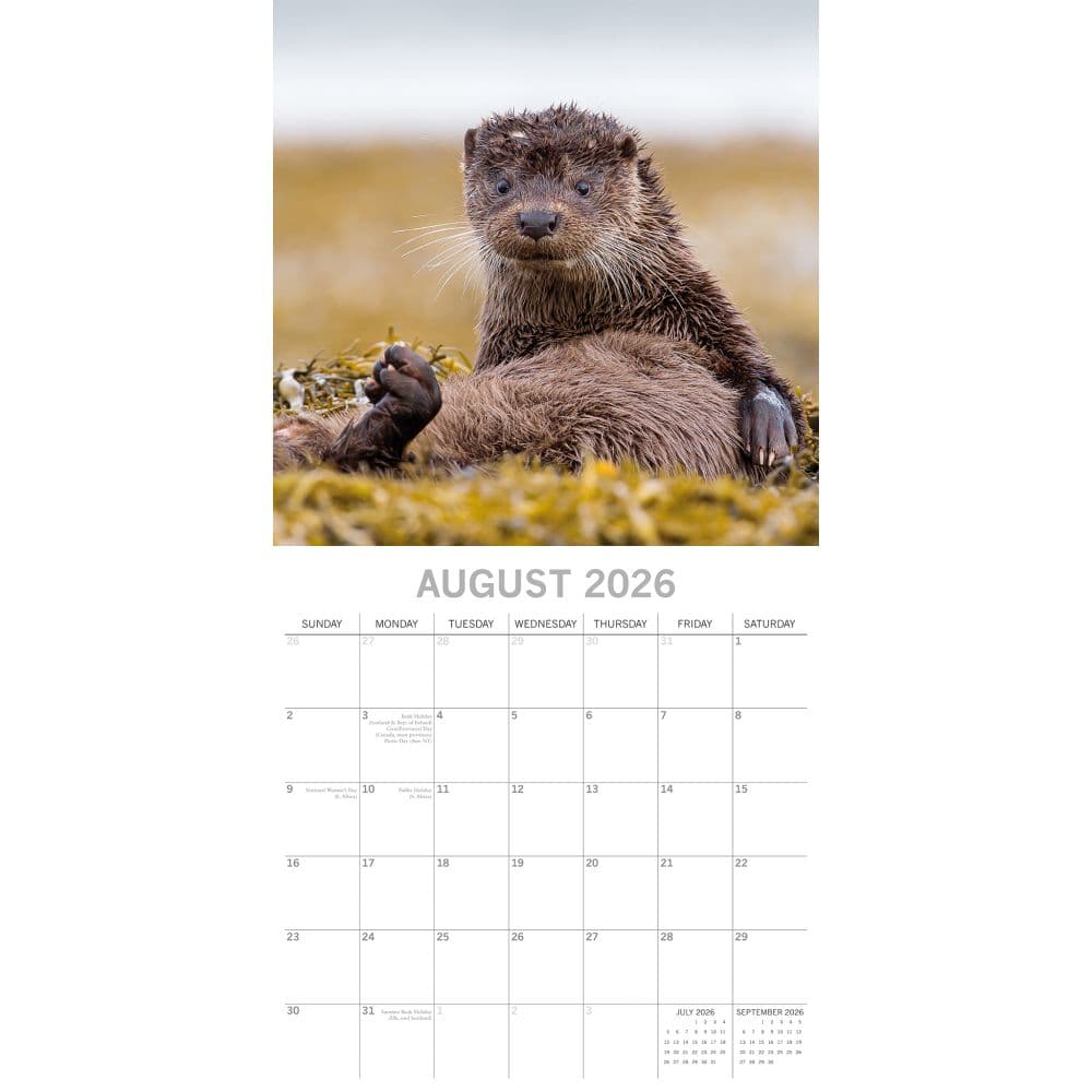 Country Wildlife 2026 Wall Calendar Third Alternate Image