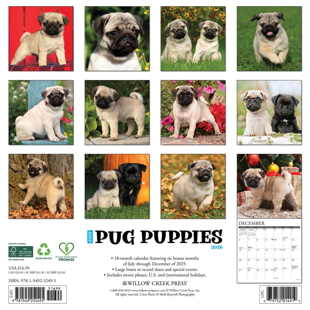  First Alternate Image