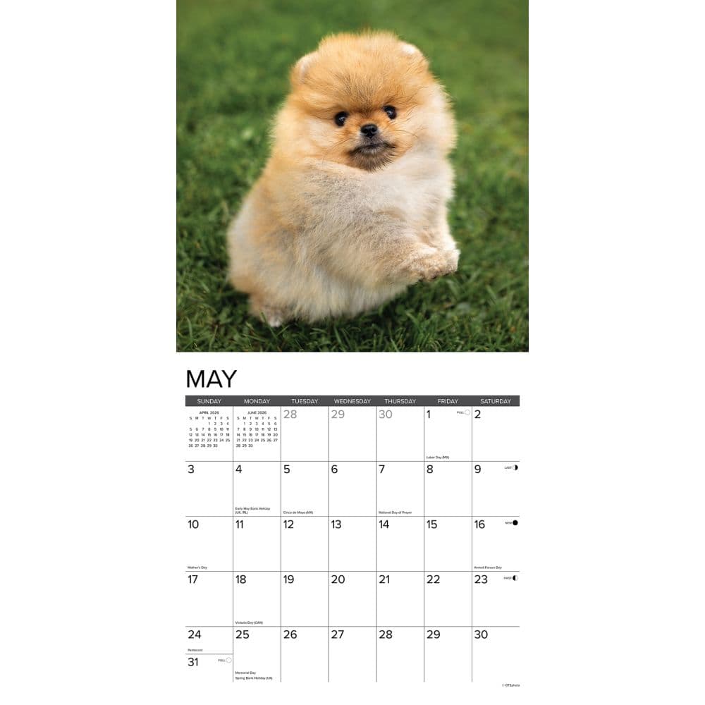  Second Alternate Image