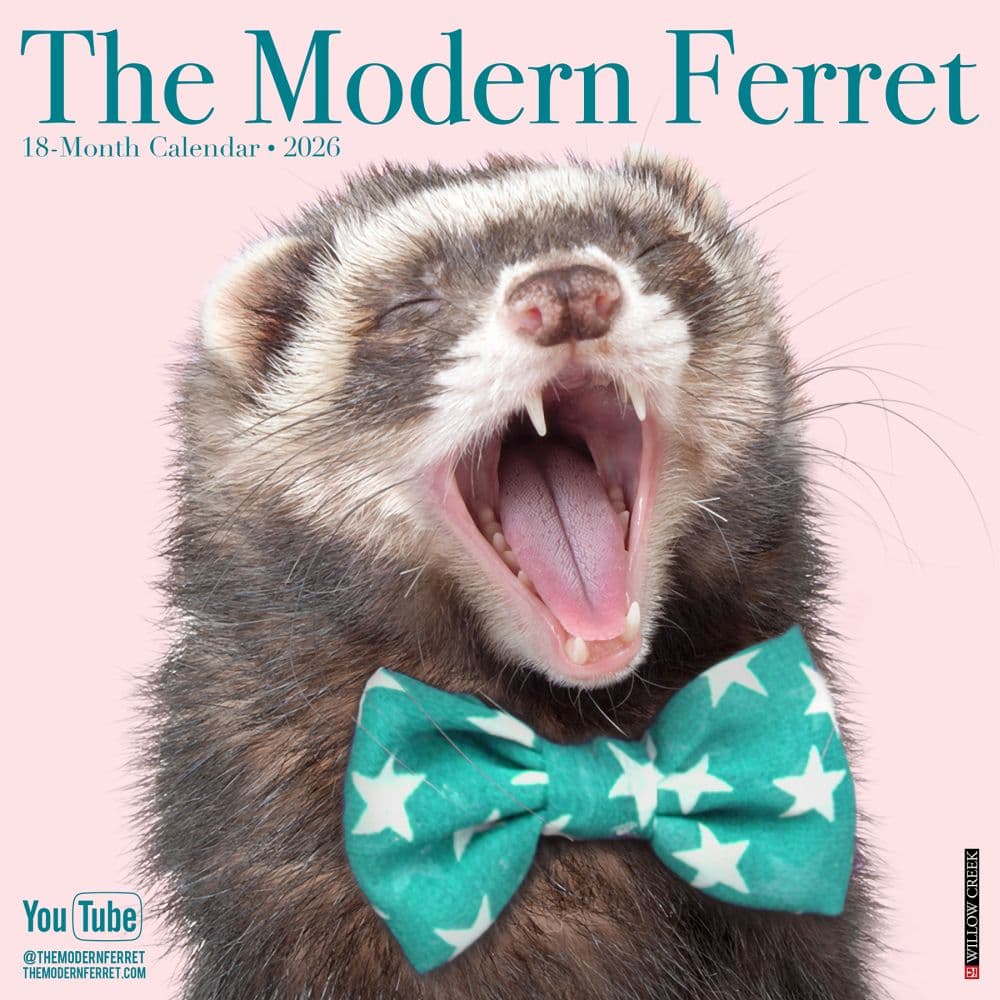 Modern Ferret 2026 Wall Calendar Main Product Image