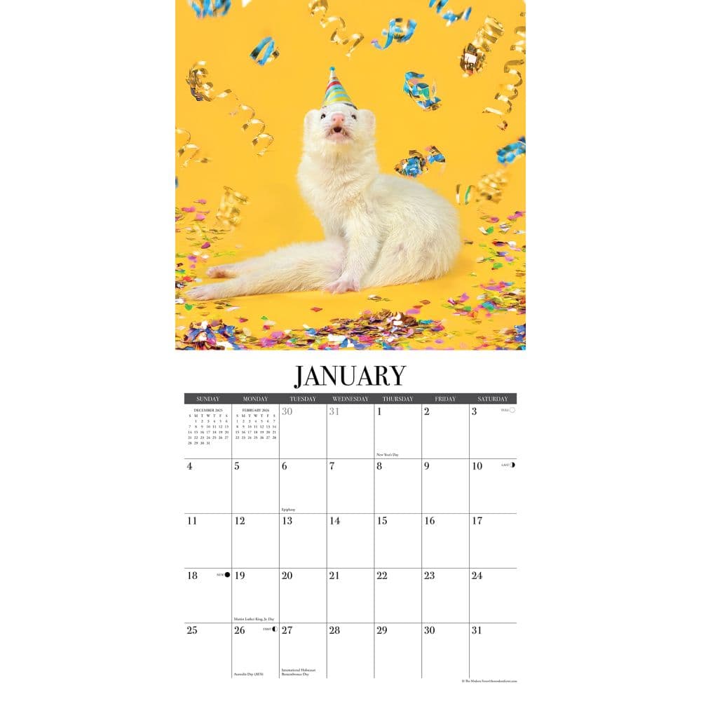 Modern Ferret 2026 Wall Calendar Second Alternate Image