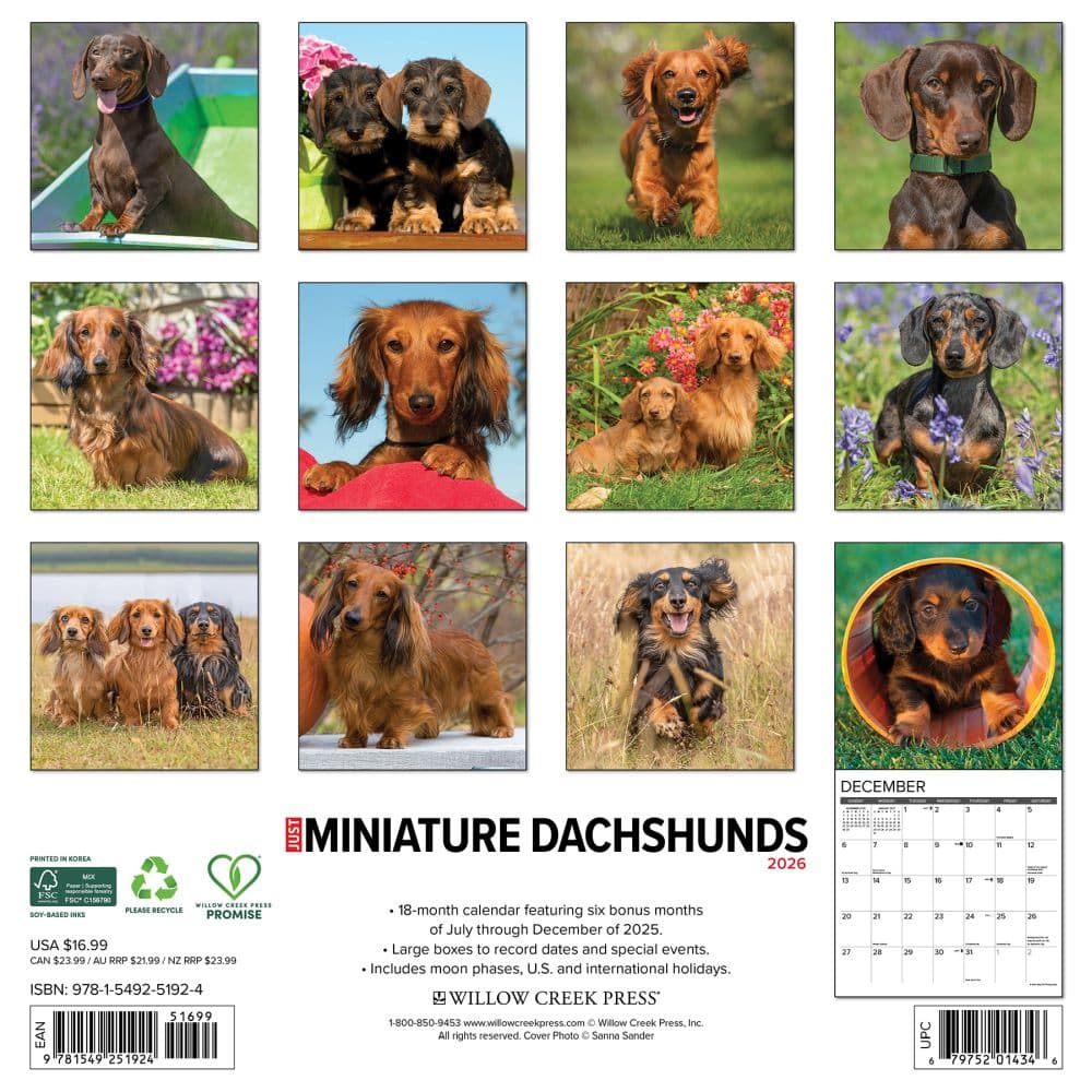 Just Miniature Dachshunds 2026 Wall Calendar First Alternate Image
