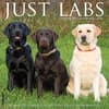 image Just Labs 2026 Wall Calendar Main Product Image