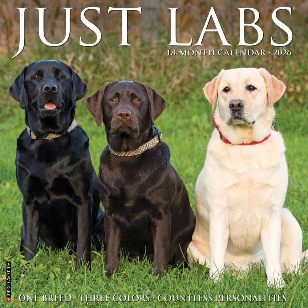 Just Labs 2026 Wall Calendar Main Product Image