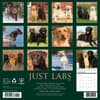 image Just Labs 2026 Wall Calendar First Alternate Image