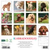 image Just Labradoodles 2026 Wall Calendar First Alternate Image