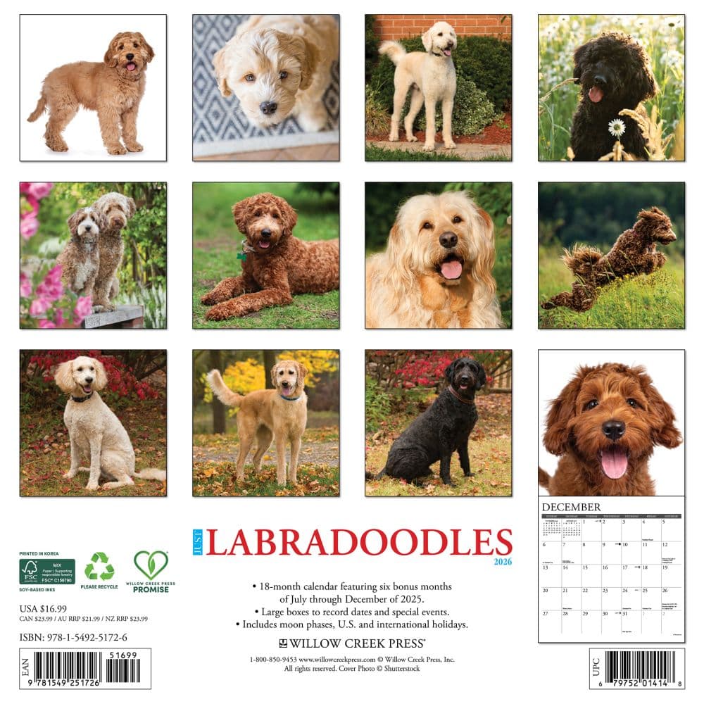 Just Labradoodles 2026 Wall Calendar First Alternate Image