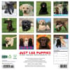 image Just Lab Puppies 2026 Wall Calendar First Alternate Image