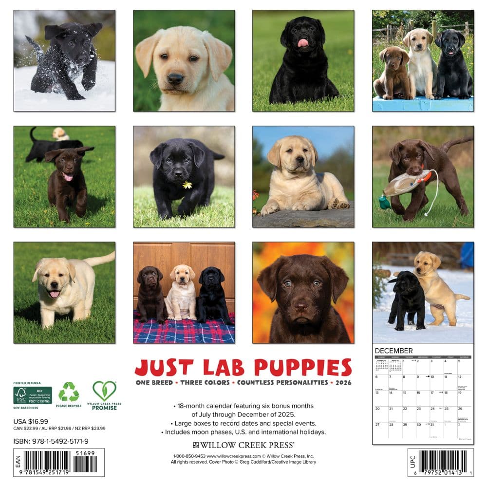 Just Lab Puppies 2026 Wall Calendar First Alternate Image