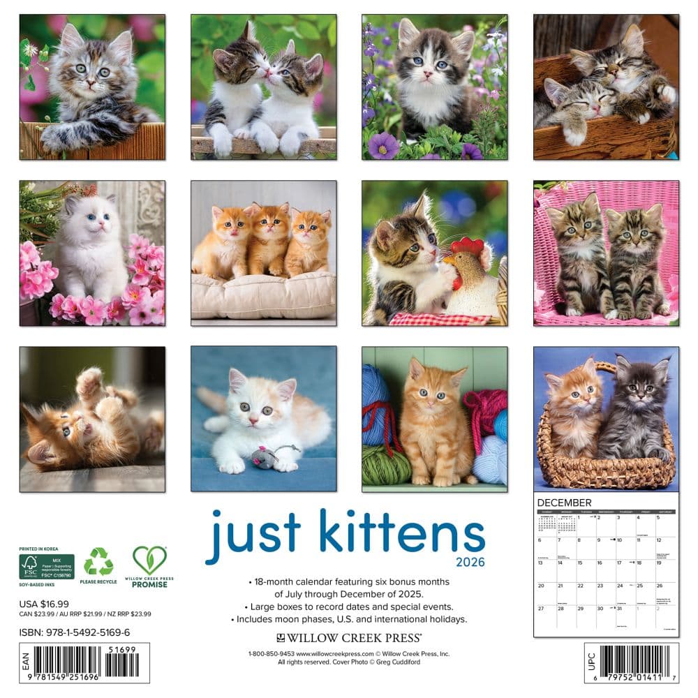 Just Kittens 2026 Wall Calendar First Alternate Image