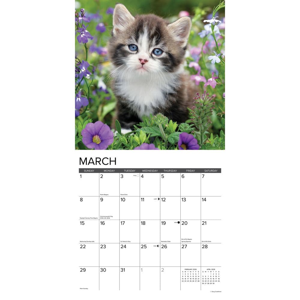 Just Kittens 2026 Wall Calendar Second Alternate Image
