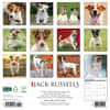image Just Jack Russells 2026 Wall Calendar First Alternate Image