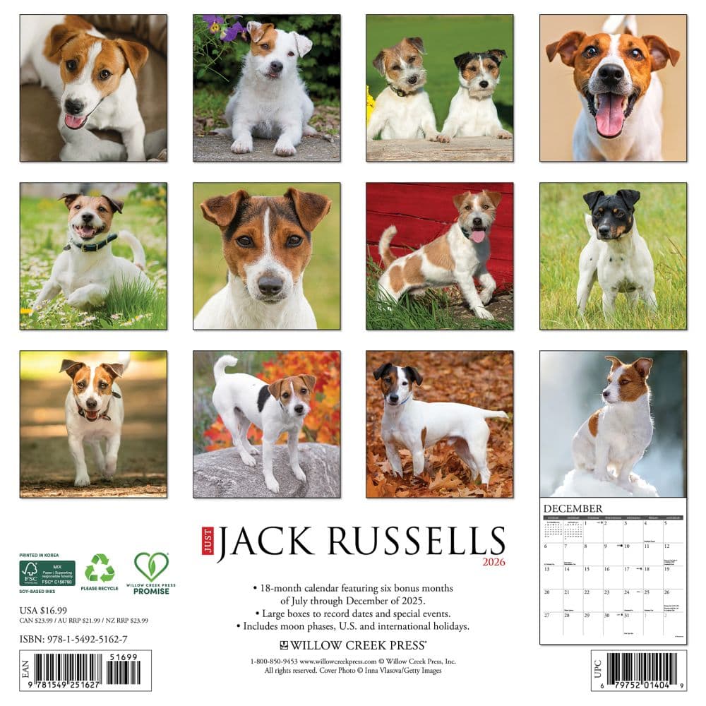 Just Jack Russells 2026 Wall Calendar First Alternate Image