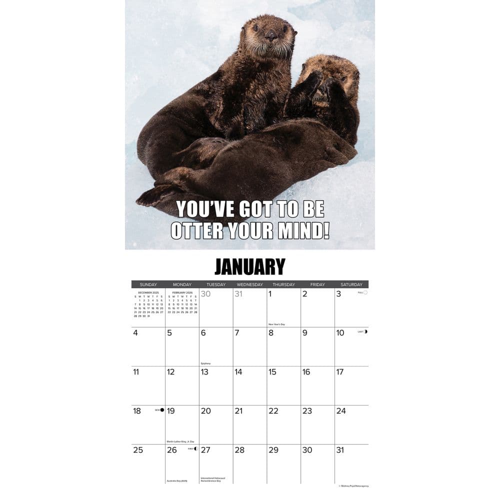 In Otter News 2026 Wall Calendar Second Alternate Image