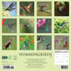 image Hummingbirds 2026 Wall Calendar First Alternate Image