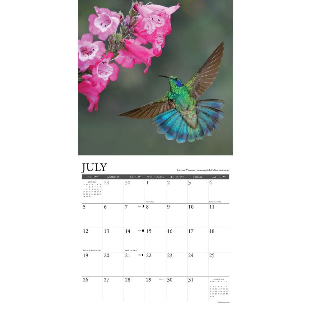 Hummingbirds 2026 Wall Calendar, 12'' X 12'', 18-Month Calendar with Stapled Binding