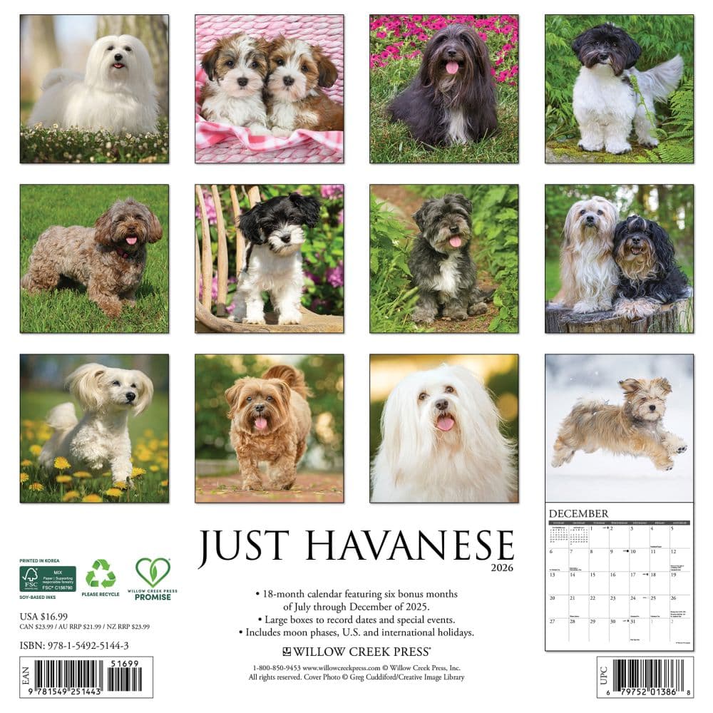 Just Havanese 2026 Wall Calendar First Alternate Image