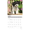 image Just Havanese 2026 Wall Calendar Second Alternate Image