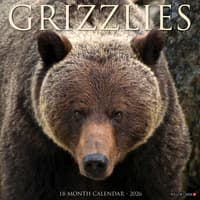 image Grizzly Bears 2026 Wall Calendar Main Product Image