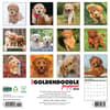 image Just Goldendoodle Puppies 2026 Wall Calendar First Alternate Image
