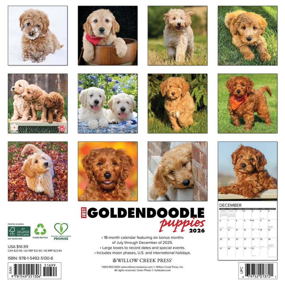 Just Goldendoodle Puppies 2026 Wall Calendar First Alternate Image