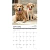 image Golden Rules Just 2026 Wall Calendar Second Alternate Image