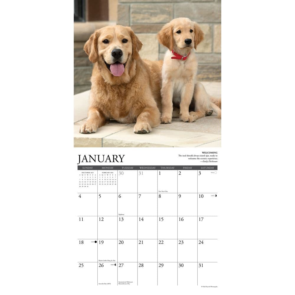 Golden Rules Just 2026 Wall Calendar Second Alternate Image