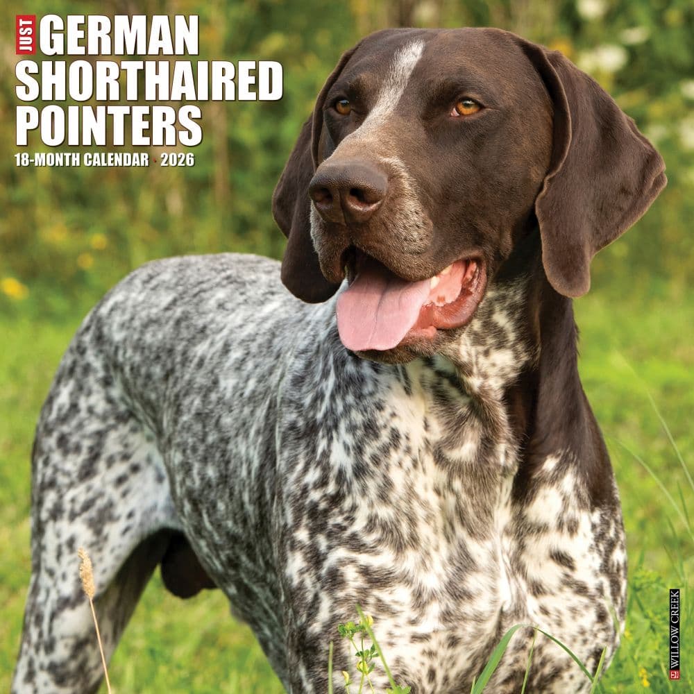 Just German Shorthaired Pointers 2026 Wall Calendar Main Product Image