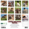 image Just German Shorthaired Pointers 2026 Wall Calendar First Alternate Image